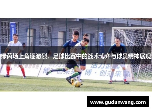 绿茵场上角逐激烈，足球比赛中的战术博弈与球员精神展现