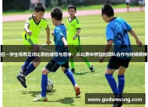 初一学生观看足球比赛的感悟与思考：从比赛中学到的团队合作与拼搏精神