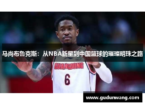马尚布鲁克斯：从NBA新星到中国篮球的璀璨明珠之路